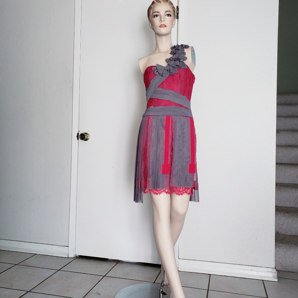 Bcbg runway red grey sz 2 dress